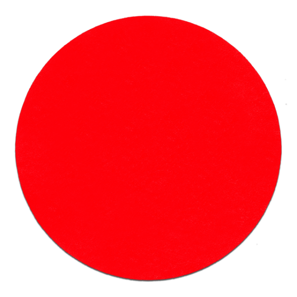 6 in. 80 Grit (Coarse) ROS StickFast™ Discs (15-Pack)
